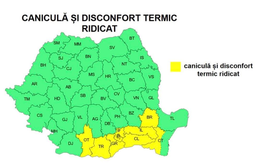 Fundal