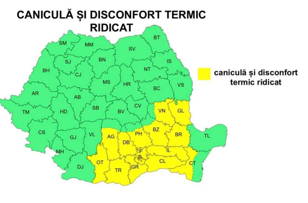 Fundal