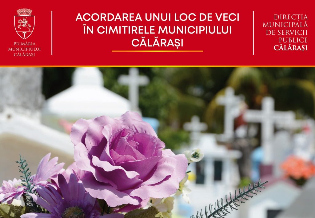 Fundal