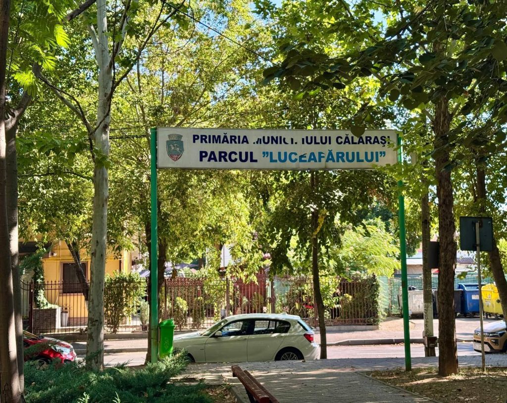 Fundal
