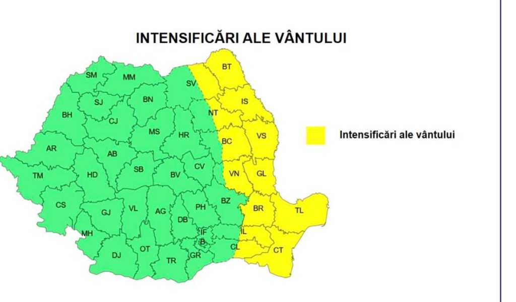 Fundal