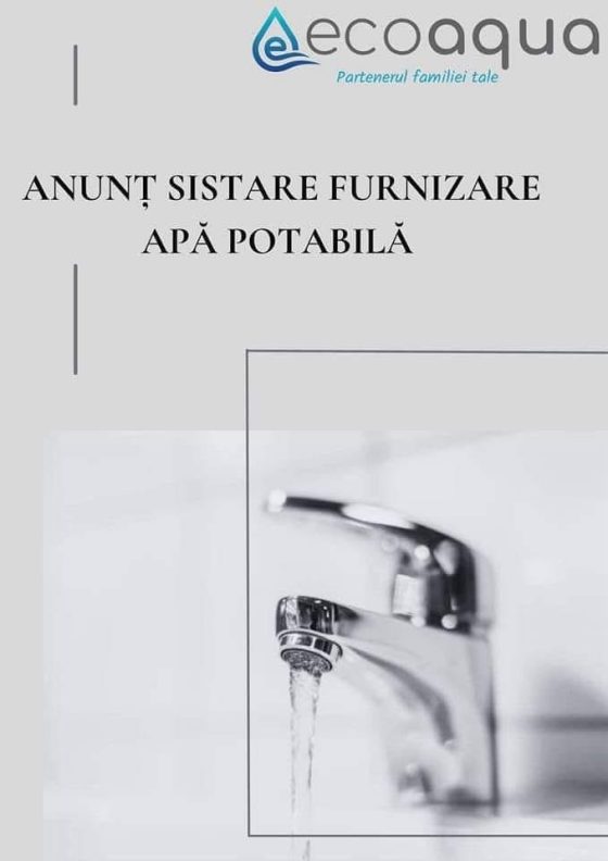 Fundal